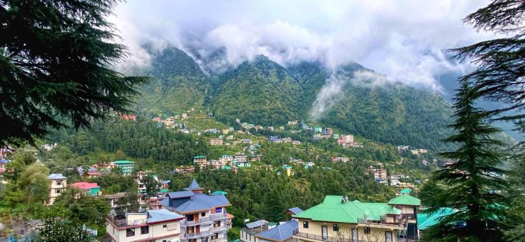 Oasis Guest House Bhagsu D'Shala Dharamshala Dış mekan fotoğraf