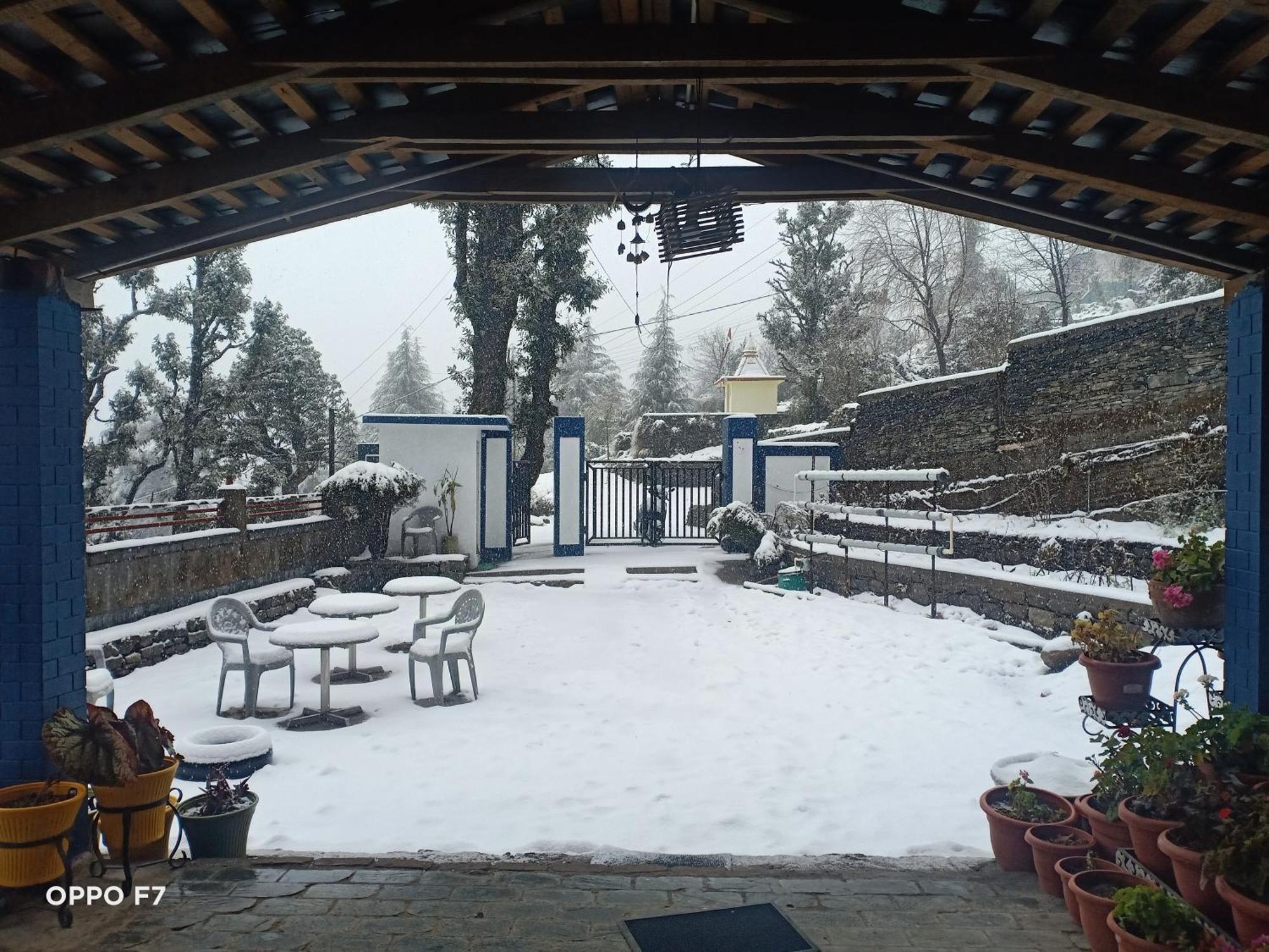 Oasis Guest House Bhagsu D'Shala Dharamshala Dış mekan fotoğraf