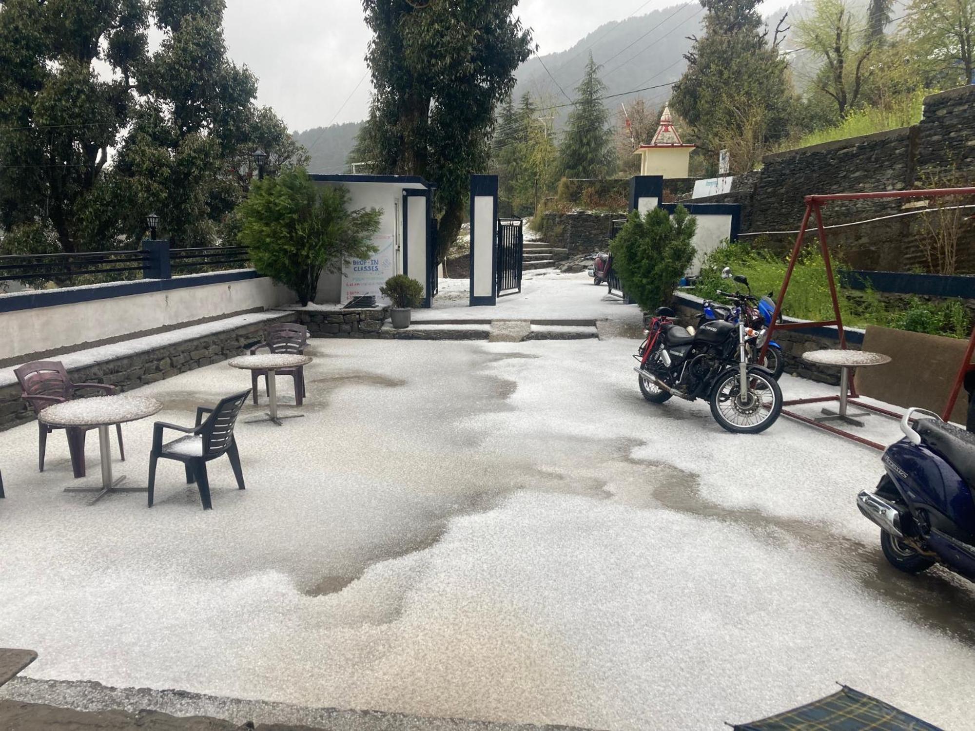 Oasis Guest House Bhagsu D'Shala Dharamshala Dış mekan fotoğraf