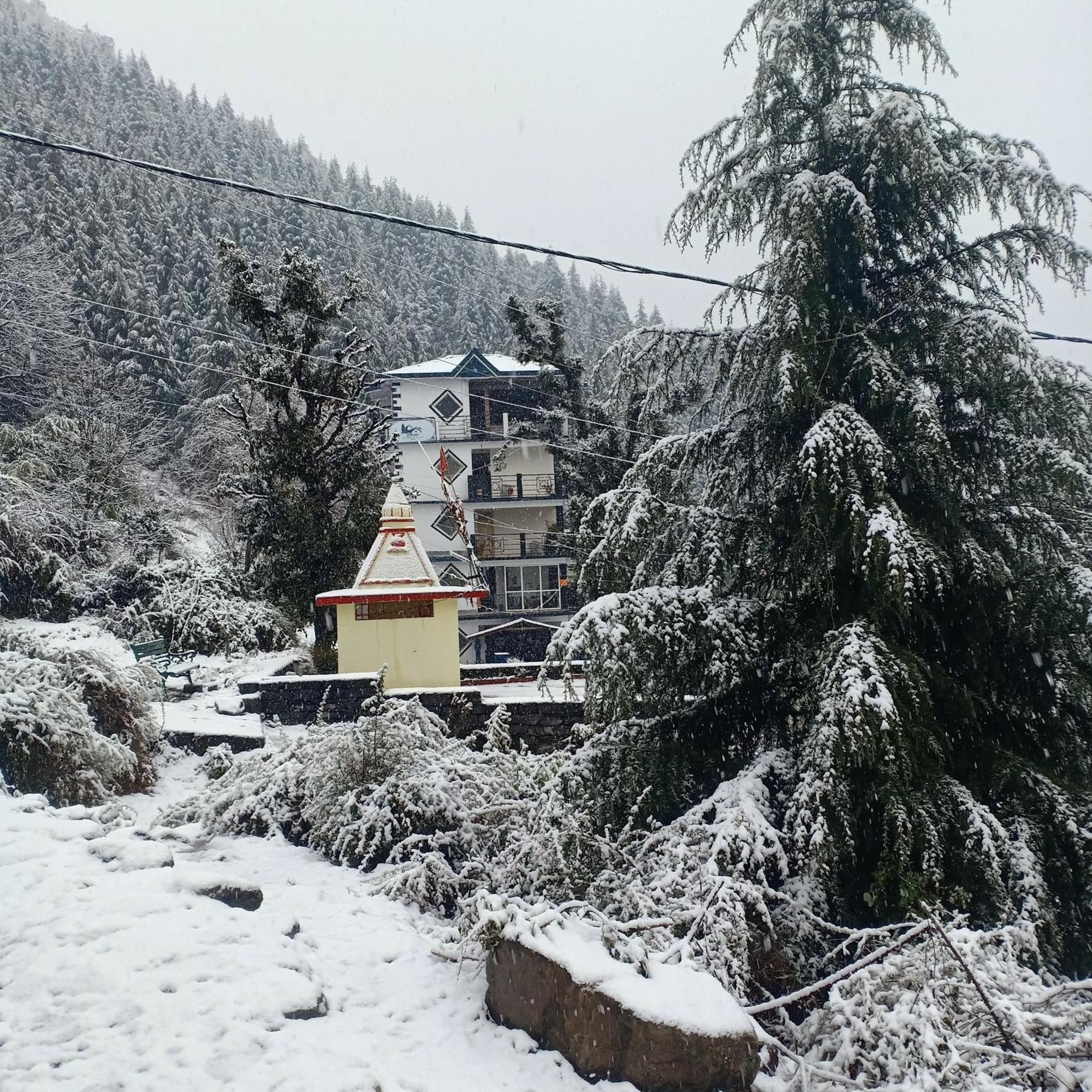 Oasis Guest House Bhagsu D'Shala Dharamshala Dış mekan fotoğraf