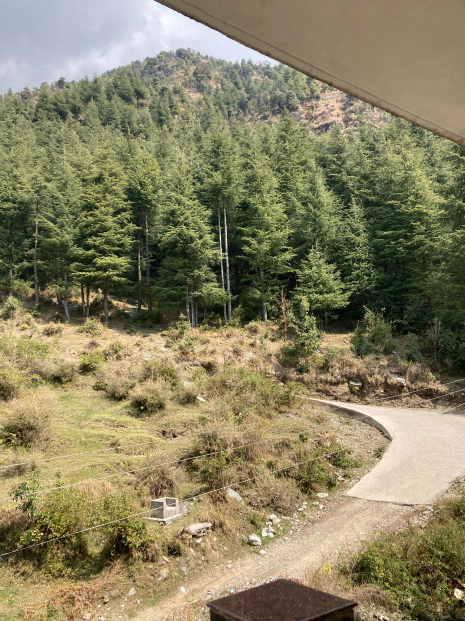 Oasis Guest House Bhagsu D'Shala Dharamshala Dış mekan fotoğraf